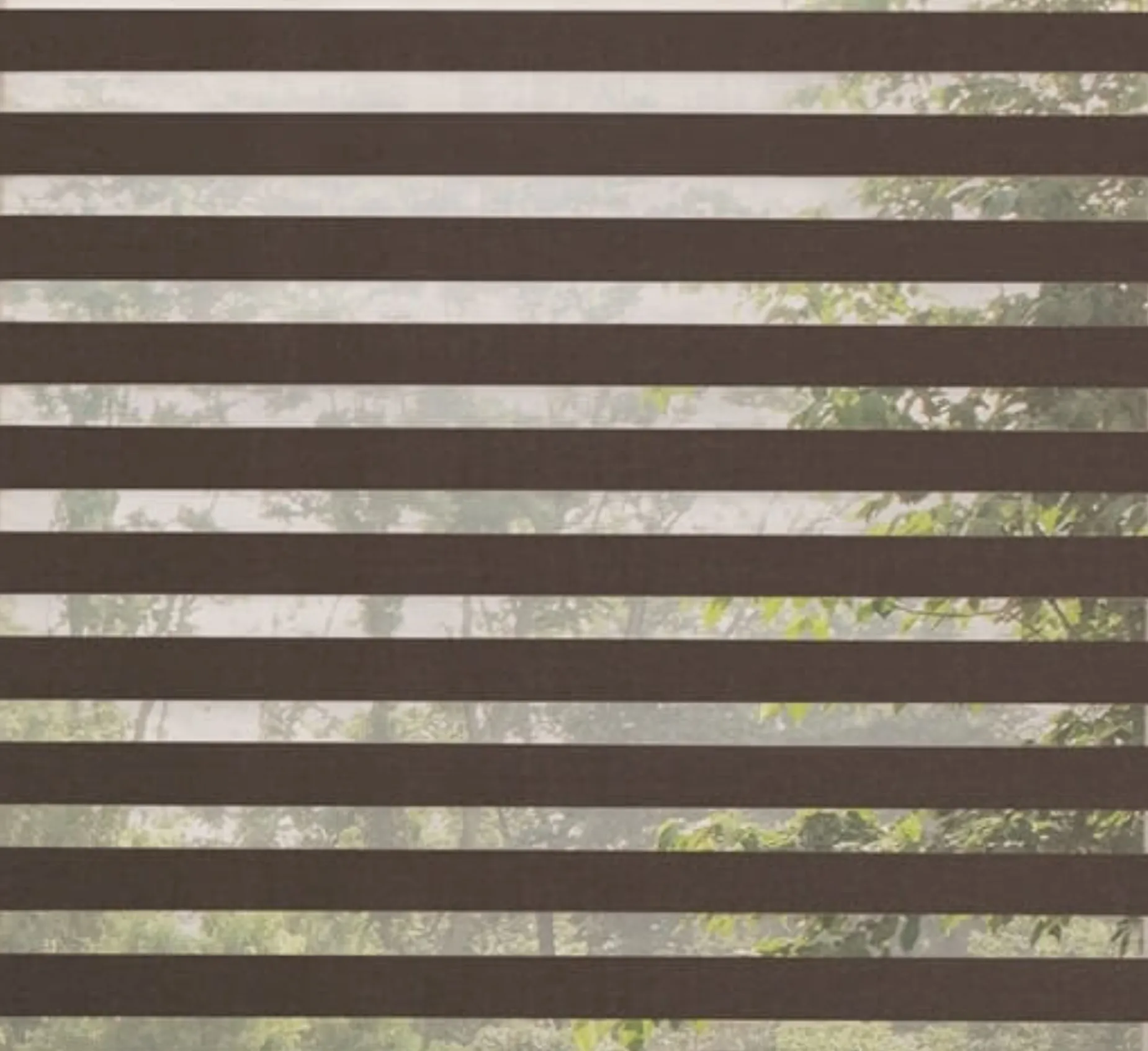 Zebra Blind 2